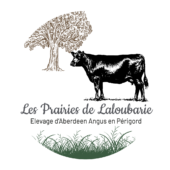 Logo-Prairies-de-Laloubarie-Elevage-Angus-Dordogne