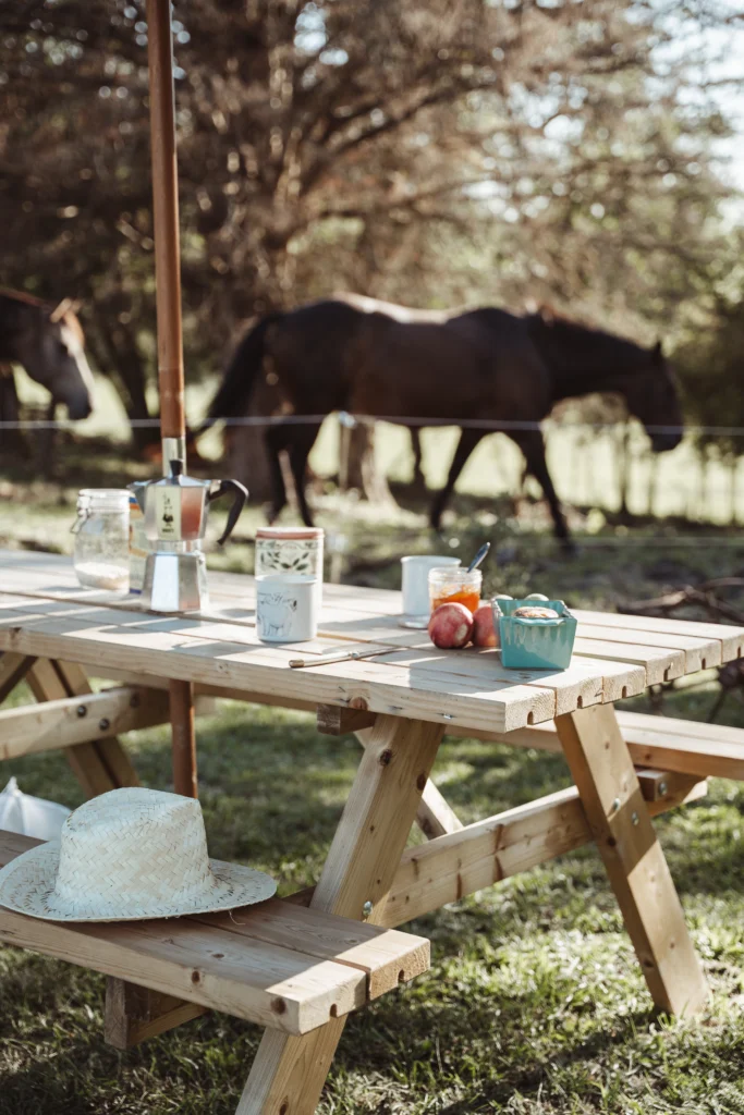Camping à la ferme au milieu des vaches et des chevaux