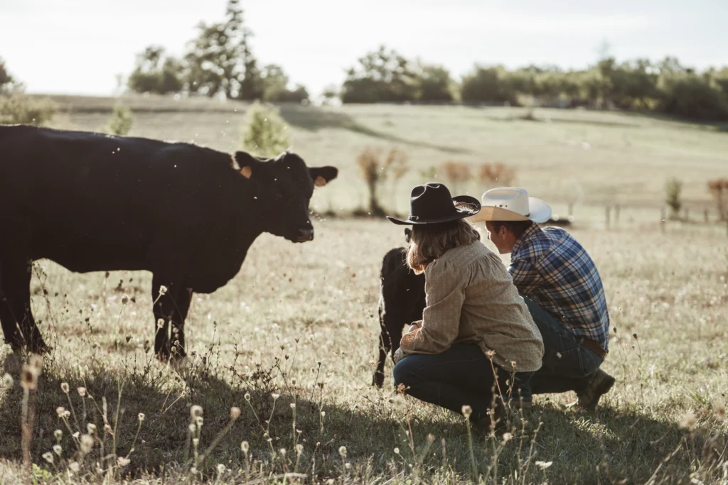 Visite immersive à la ferme Les Prairies de Laloubarie