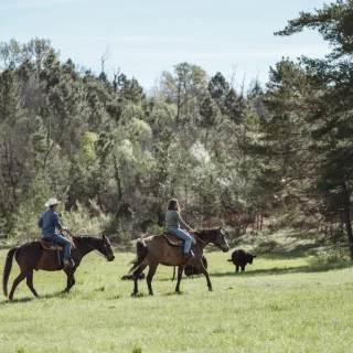 cowboy Laloubarie Dordogne