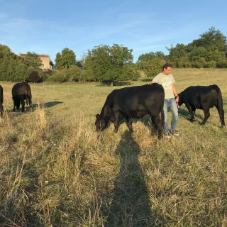 Proximité avec nos vaches. Bien être animal.