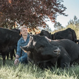 Câlins avec notre taureau Aberdeen Angus