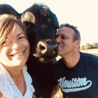 Elevage Angus bien être animal. Les Prairies de Laloubarie. Unik veau Angus élevé au biberon